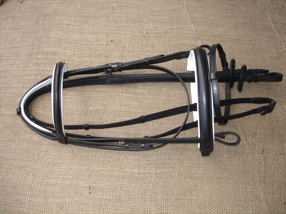 Bridle
